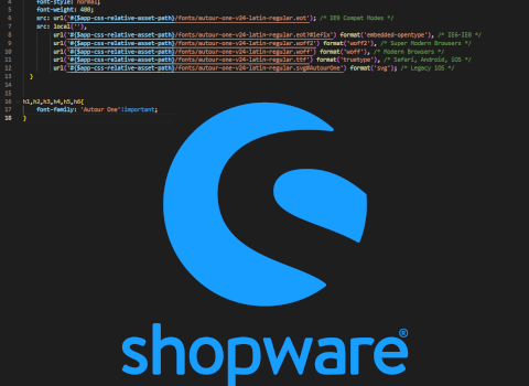 rundum.digital | blog - Shopware 6.4 – Fonts einbinden