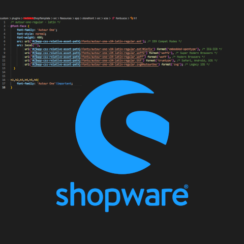 Shopware 6.4 – Fonts einbinden